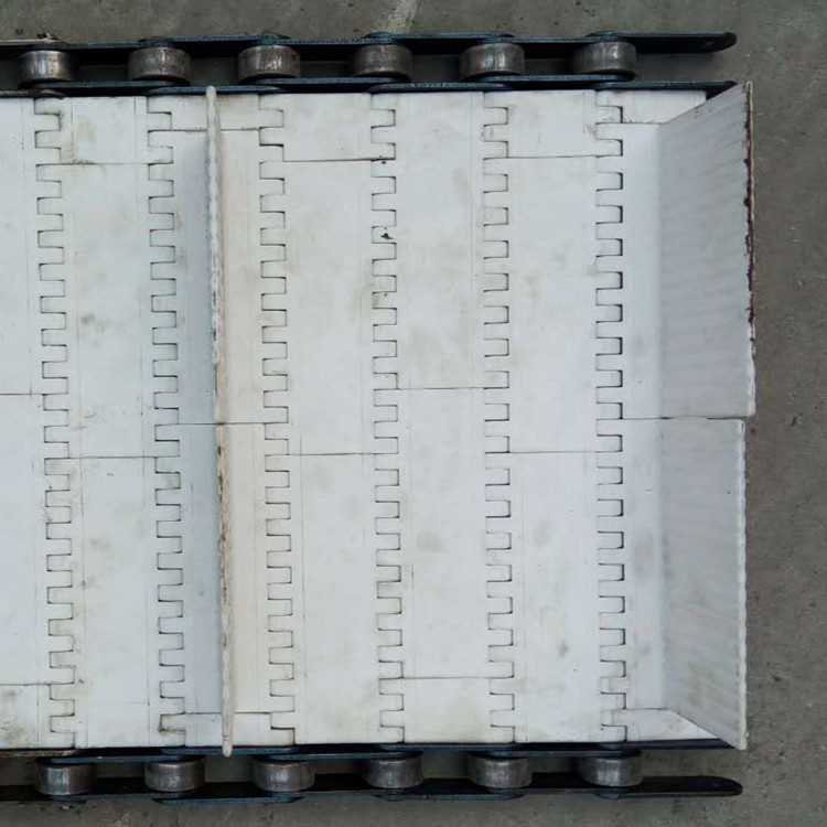 496477002082404536.jpg