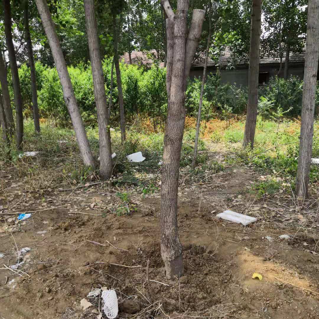 微信圖片_20190709075402.jpg