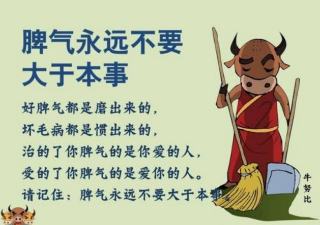 偉業(yè)網(wǎng)帶.png