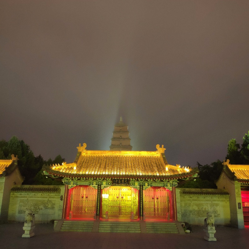 偉業(yè)網(wǎng)帶10.jpg