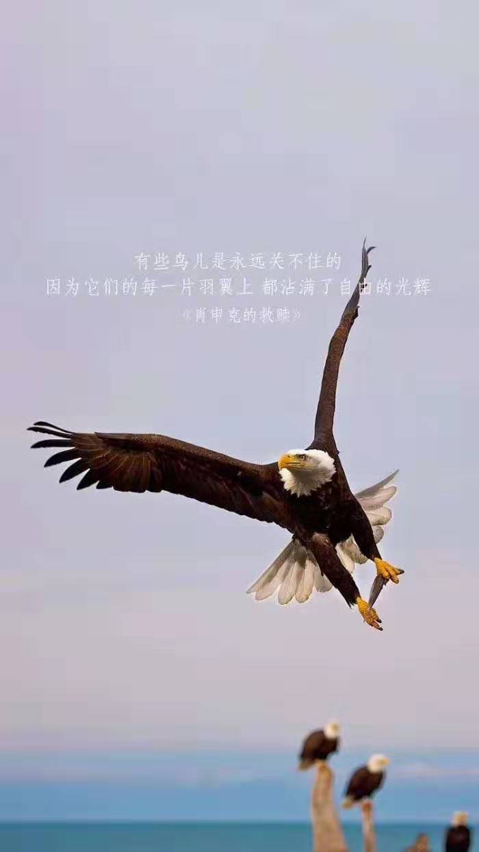 616.jpg