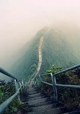 美3.jpg