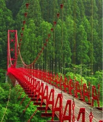 路1.jpg