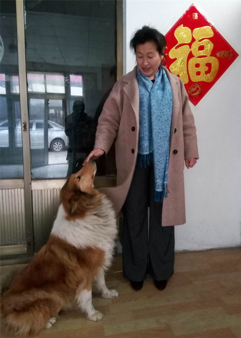 微信圖片_20190212151912.jpg