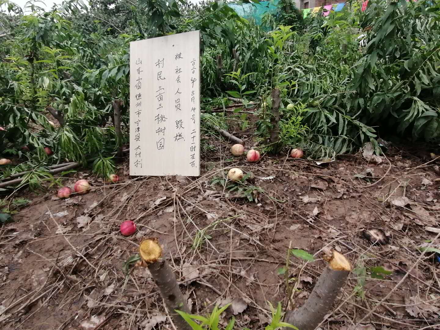 微信圖片_20200821184849.jpg