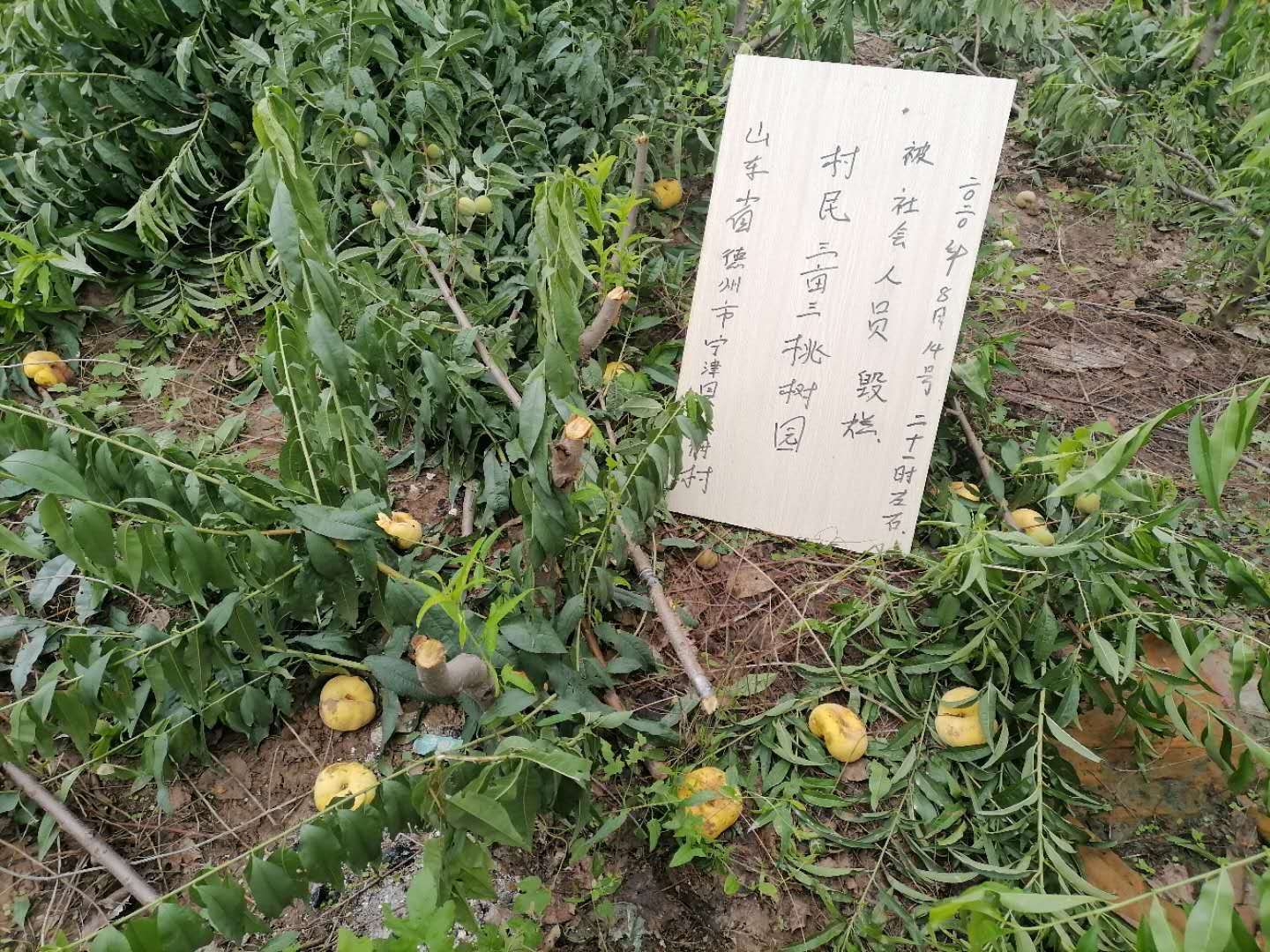 微信圖片_20200901184134.jpg