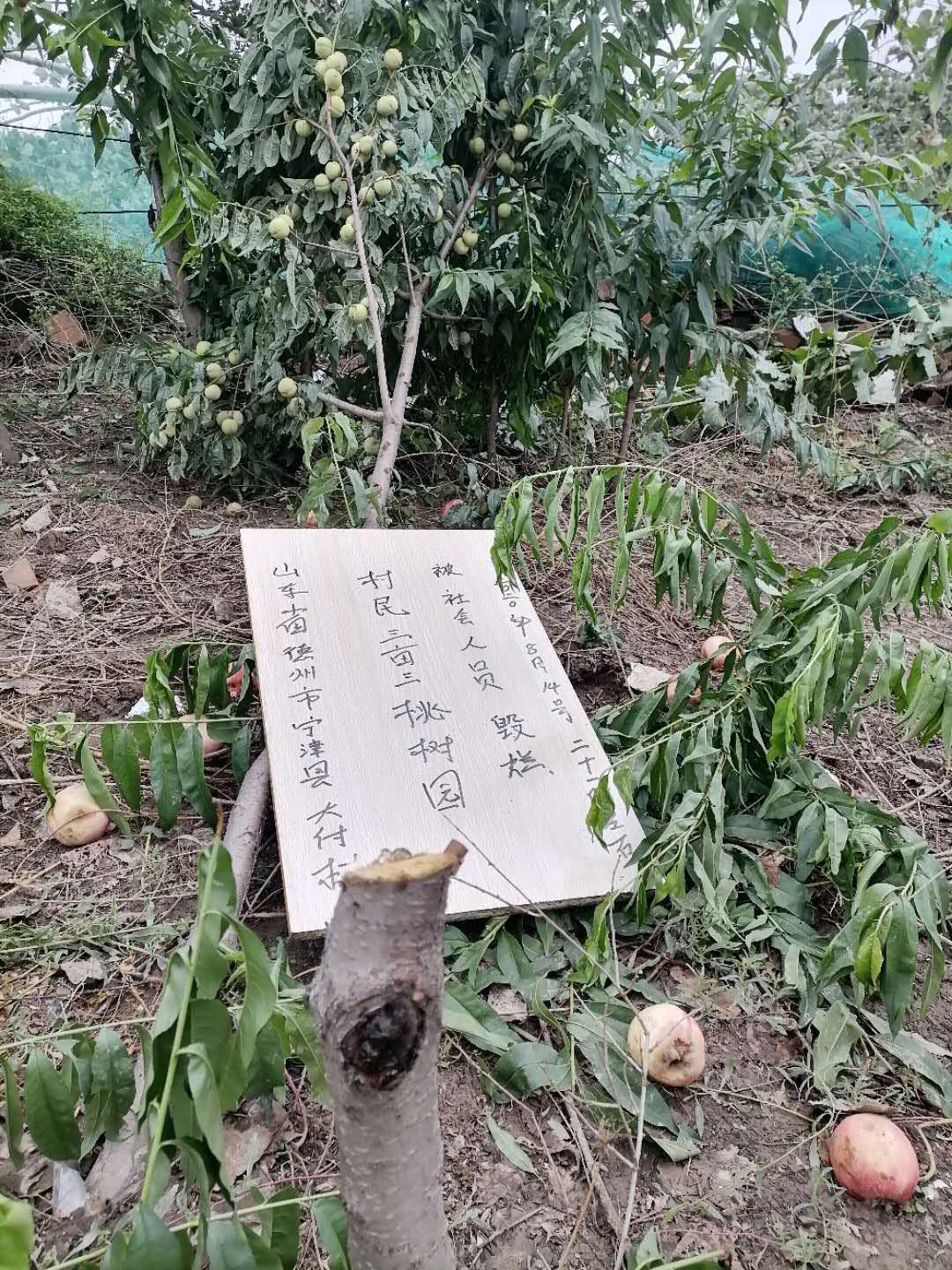微信圖片_20200901184527.jpg