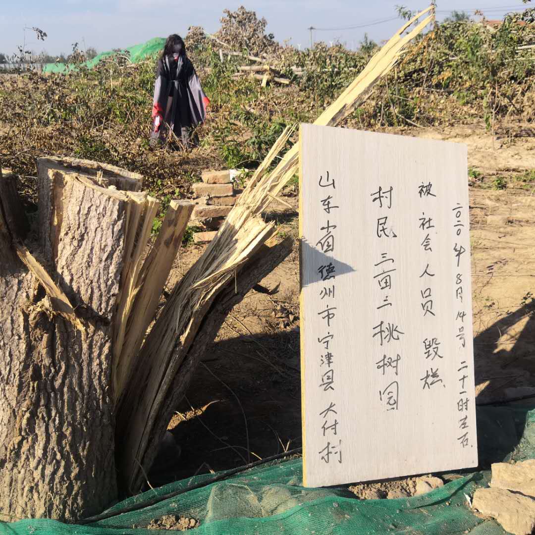 壞蛋1.jpg