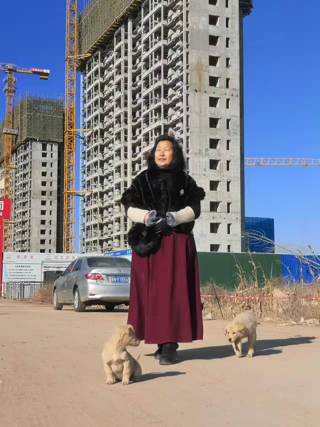 偉業(yè)網(wǎng)鏈王晶.jpg