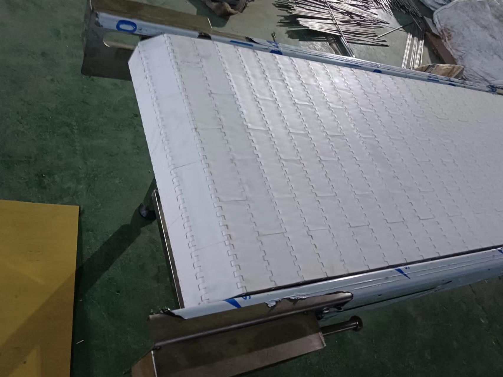 偉業(yè)塑料輸送機1.jpg