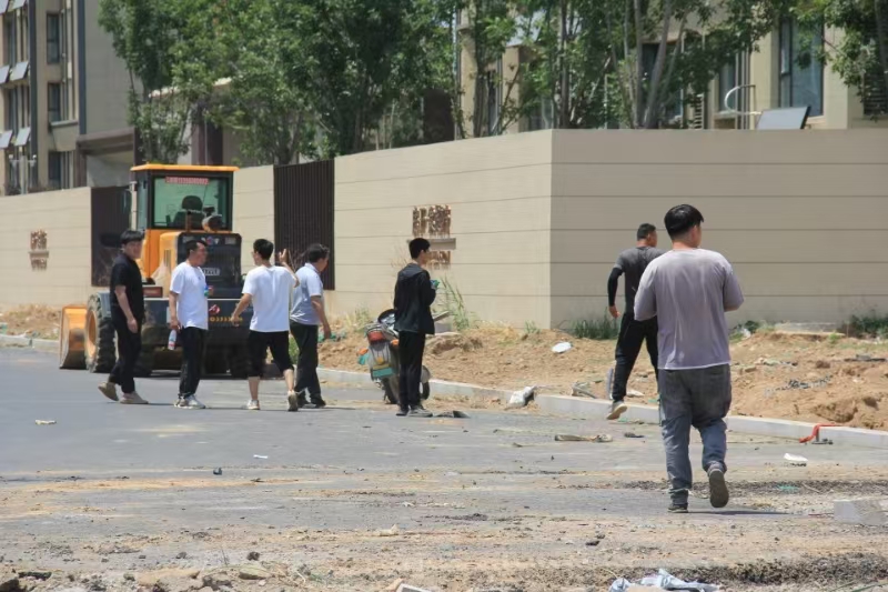 非法砍伐14.jpg