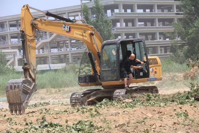 非法砍伐15.jpg